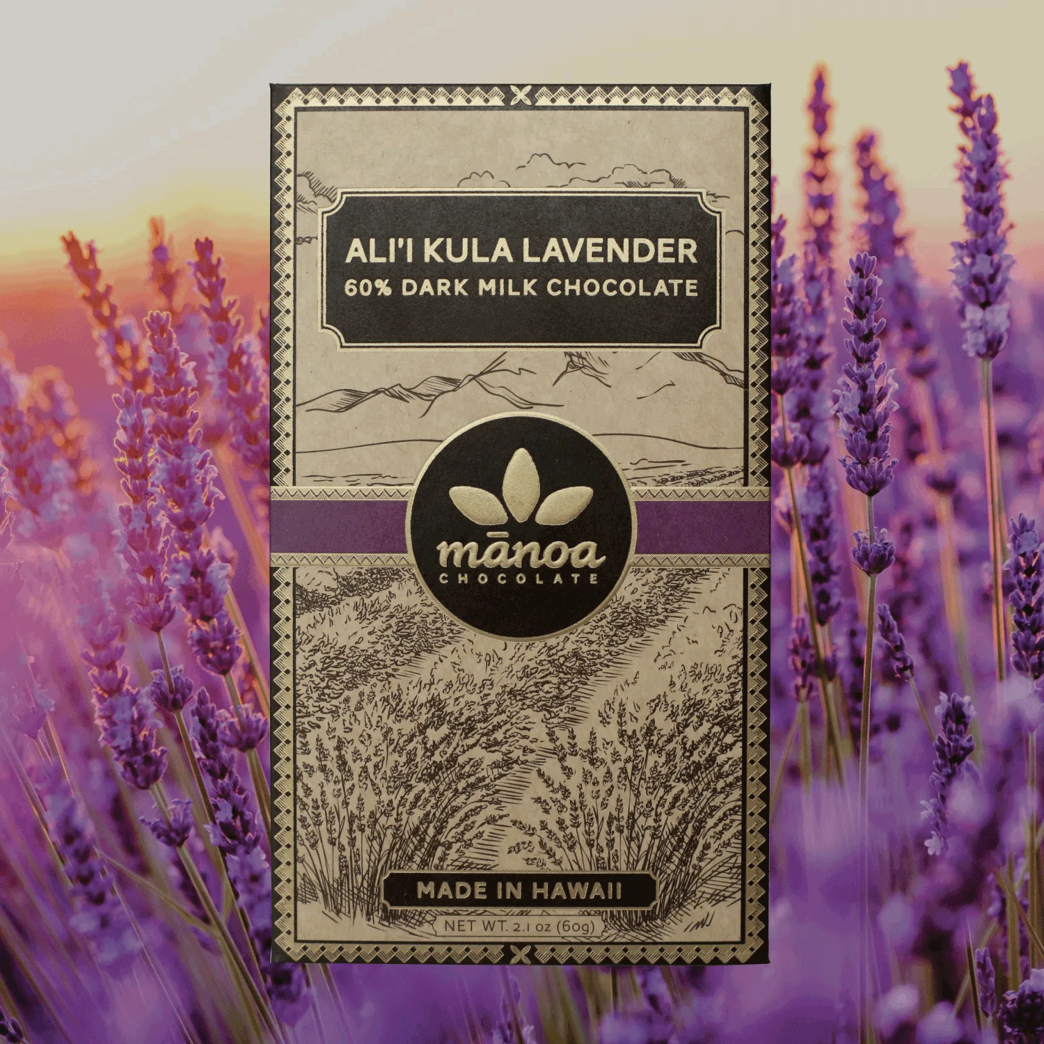 Lavender front manoa